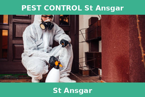 PEST CONTROL St Ansgar
